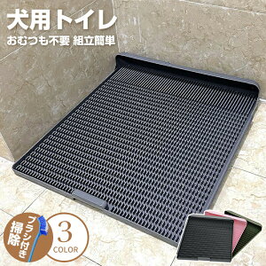  gC ؃bggC pgC  gC g[jOpi IX ֗ ybggC ybg h~ p  юUh~