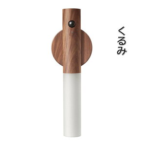 lZT[ lZT[Cg Cg LED LEDCg  Ɩ _ USB[d }Olbg   IV   L