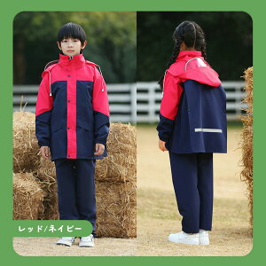 CX[c LbY ㉺ CR[g Zp[g Jbp㉺ q J CEGA w w 130 140 150 160 Jbp Lv oR ]Ԓʊwp ̎q j̎q ъԊwZ 