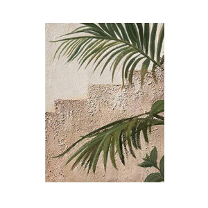 Ȏ`ANؗG͔ɃVvŐÂȕqԑΐA̒ی֊|ł