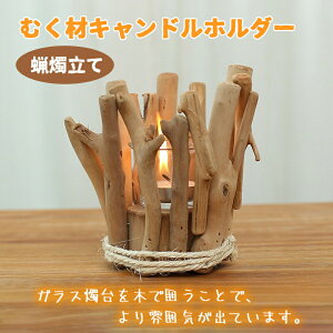 ނ Lhz_[ LhX^h Ɏq KX C XC E\N AeB[N u CeA Ɩ   Mtg