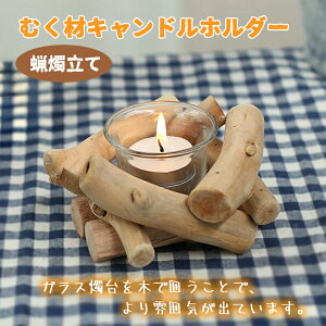 Lhz_[ LhX^h ނ Ɏq KX C XC E\N AeB[N u CeA Ɩ   Mtg