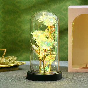 iԃKXJo[oԓo^Cf[v[gnӎpuH e̓Mtg