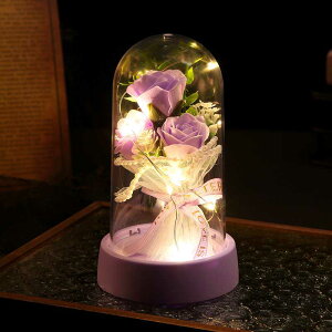 �o���̉Ԃ̉ԑ����铔�v���X�`�b�N�J�o�[led�ԓ��i���Ԓu���n�Ӄf�X�N�g�b�v�����铔������