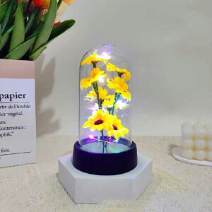 z̉Ԃ̃q}̉ỉԂ̃ANJo[̓̃̕o^Cf[̑蕨̃ACfA̒ủz̖̏