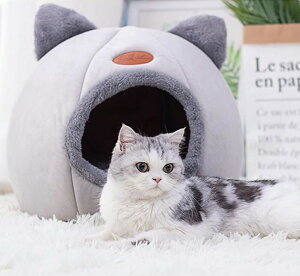 Lxbh LnEX ~ ybgpQ h[^ L }bg NbV ΍ g 킢 ybg xbh }bg ^ LbgnEX xe Q ybgxbh 􂦂 ӂӂ h