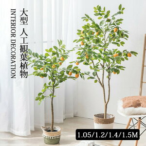 ^  lHϗtA tFCNO[ tFCNA    CeA  ϗtA A c[  j