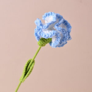 i肩j҂݃J[l[VԖ͑ԕ̓v[gԎԑ