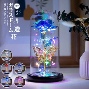 KXh[  t[ ͂Ȃ ̓̃v[g LEDCgt  S[h o^C hV̓ LO 