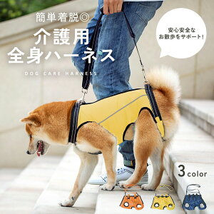 ys⏕z n[lX SȂ pn[lX s⏕  ^ ^ ^ V nr  ߉\ y 㑫p U T|[g