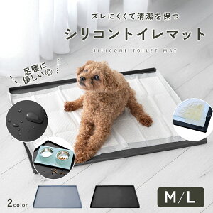 [2TCY]  gCg[ VR gC}bg ChTCY 􂦂  ybg  gCg[jO h V[c ȒP ^ ^ ^ ^