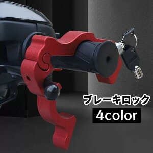  u[Lo[bN oCNp h~ ΍ ANZbN S XΒn ⏕ ȒPt Hsv ֗ RpNg  