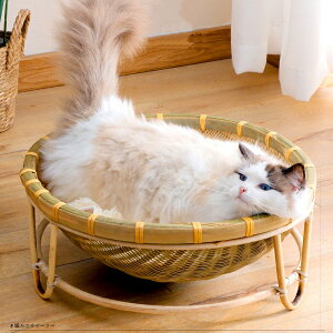  L   xbh t L nbN^Cv 􂦂 Lxbh LbgnEX ybgxbh JS ^ Lp nEX p xbg ybgxbg ybgnEX lR ˂ 