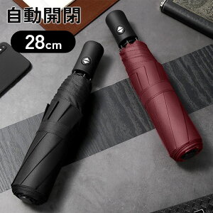 ܂肽ݎP J 肽ݎP y ܂肽 P ܂ݎP Y fB[X t܂ Wv  傫 傫 v[g Mtg ϕ v ɋ PJo[t