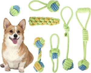 ybgpi pߋ [v  ߋ   7Zbg  ނ S      ^s  q   ߋ ybgp  S  f^PA Rbg