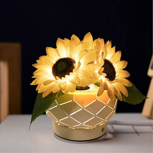 Ђ܂LEDCgn[g Q CeA  LEDC~l[VCgUSB[d3iRGBϊCgドCg v ͋C gF ^b`J NX}X v