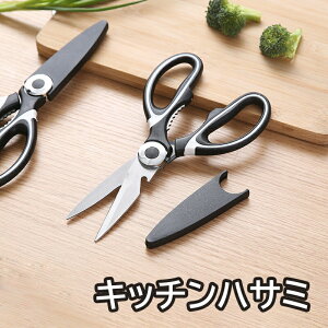 Lb`oT~ XeX Lb`͂ ͂  p͂     ؂ R Jo[t ΂