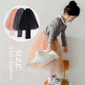 q `[XJ[g ̎q LbY MX+XJ[g OXJ[g Y{ Opc `[  w w Ƃ JWA WjA {gX p[eB[ 