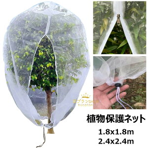 hlbg AیJo[ |؍͔| hlbg t@Xi[t Aی ؖ ؍͔| |plbg hV[g h ؉ x_ DIY ʎ ݂ v^[  