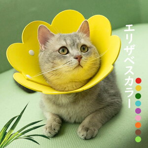 yzGUxXJ[ \tgtFg y L  ybg _炩 Ch h[ic ybgpi ȒP LK p PA ی rߖh~ e p Em 