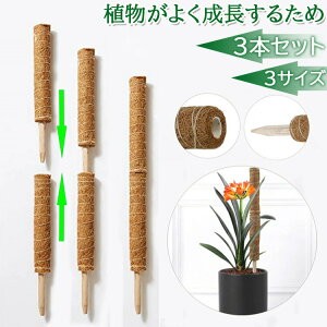 yz3{Zbg RRXeBbN Xe x RRibc  |x |gX Ax K[f  Ԃ A  ؐ RRibcx x K[fjOpx ϗt