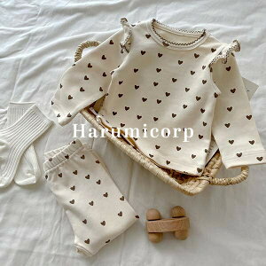 y6%OFFN[|zZbgAbv LbY xr[ ̎q j̎q tVc   Opc q tH [EFA ㉺Zbg V Ԃ    pW}  