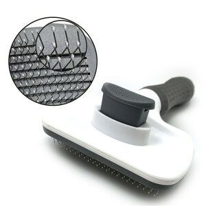 ybgN[jOpi^b`єR[ZtR[LeR[I[vR[