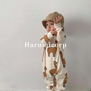 p[X  xr[ ̎q j̎q Jo[I[ LbY  q V Ԃ   qǂ I[C [EFA  pW} oYj v[g 