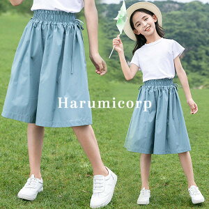 q n[tpc LbY ̎q  ؍q Y{ qǂ WjA xr[ {gX Xgb`pc Y{ V[gpc EFXgS Lт   w J