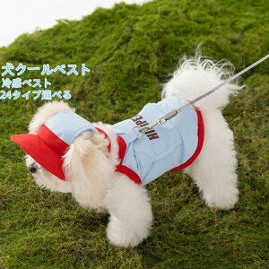 yzN[xXg fUCLxŉt[cLN^[ ^ ^ ^p ΍ ۗ AEghAUΉ pĕ