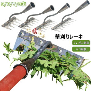 背[L Gc[ 5/6/7/8 5/6/7/8{ K[f[L _ƗpF Yf|[L pr y  G ϋv yH_ F N 蓮 t| c 