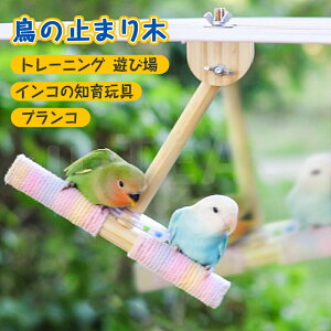 ̎~܂ uR g[jO CR̒mߋ Vя ؐ̒̎~܂؃g[jOACR̒mߋAؐ̃IE̎~܂؃vbgtH[ARjAIJCR Z