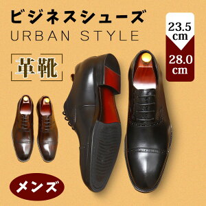 rWlXV[Y {v Y ʋC Xg[g`bv H vC C 傫TCY am y  tH[} V[Y j  蕨