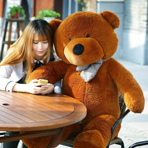 u80cm~200cmvʂ teddy NX}Xv[g v[g bear 傫 F ӂӂ  efBxA 100cm Cxg efBxA a N}̂ʂ ʂ ܂̂ʂ