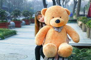 u80cm~200cmvʂ teddy NX}Xv[g v[g bear 傫 F ӂӂ  efBxA 100cm Cxg efBxA a N}̂ʂ ʂ ܂̂ʂ