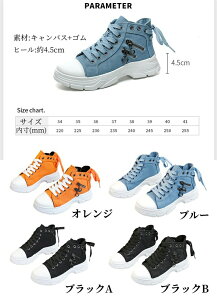 V[Y C fB[X LoXXj[J[ Xj[J[ [XAbv w LoX r tbg Xj[J[  ʋ gAbv Ȃ nCJbg ʊw V[Y 