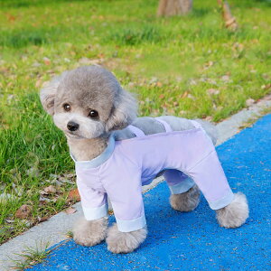 Cpc h~ pbOJo[ 킢 ~ o hbOEFA U EȂ TXy_[t H ^ Op h ho ^ h  m pbOJo