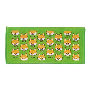 y|CgobNՃ|Cg10{z[h tFCX^I 34×75cm 100  vgO^I ƂՁ[  ^I  ^I ybg 