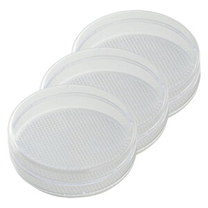 yFoulazvX`bNe (~`) 3