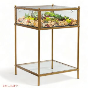 DfEco KX fBXvC TCh e[uAJƋ@AJG Founder͂!