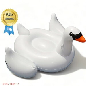 XCC W{ X ChIt[g Swimline   Founder͂!