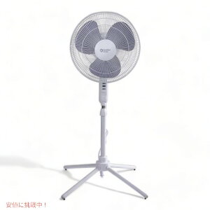 RtH[g][ Comfort Zone @ ܂肽   CZST161BTE 3 16C` t@ i Founder͂!