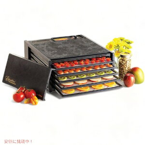 GNXJo[Excalibur hCt[h[J[(5gC) ubN 3500B t[hfBnCh[^[ Founder͂!