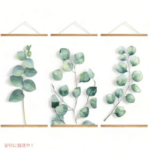 �y3set�zwall26 �L�����o�X�A�[�g �E�H�[���A�[�g Artwork - 05 Founder�����͂�!