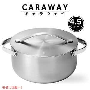 Caraway LEFC 4.5NI[g Stainless Steel Dutch Oven XeXXeB[ _b`I[u 5w