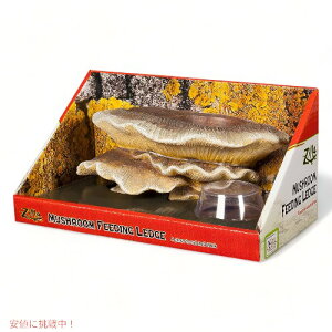 Zilla W[ }bV[ tB[fBO bW Mushroom Feeding Ledge Brown