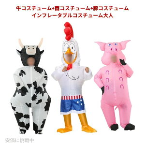 RX`[+уRX`[+؃RX`[Ct[^uRX`[l