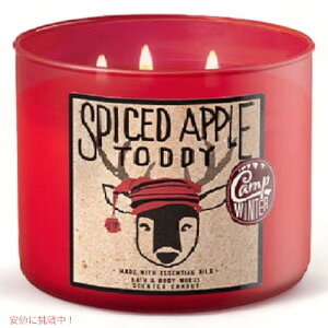 oX{fB[NX@XpCXh@Abv@Lh@14.5 oz / 411 g@ Bath & Body Works@SPICED APPLE TODDY@Candle