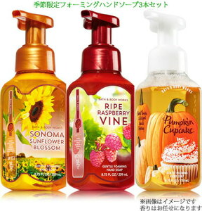 yy݃Zbgz3{tH[~Onh\[v Gߌ̍ Bath & Body Works Foarming Hand Soap@oX&{fB[NX