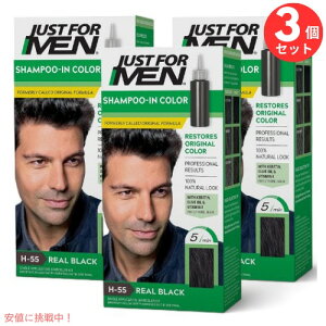 3Zbg Just For Men WXgtH[ OCwAp wAJ[ Vv[CJ[ [H-55 AubN] Shampoo-In Color H-55 Real Black